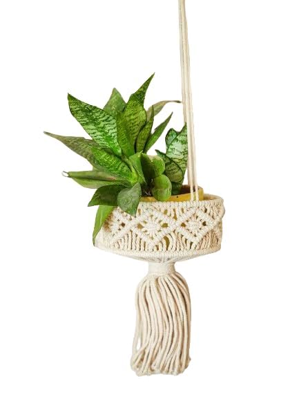 Macrame Hanging Planter For Terrace Garden